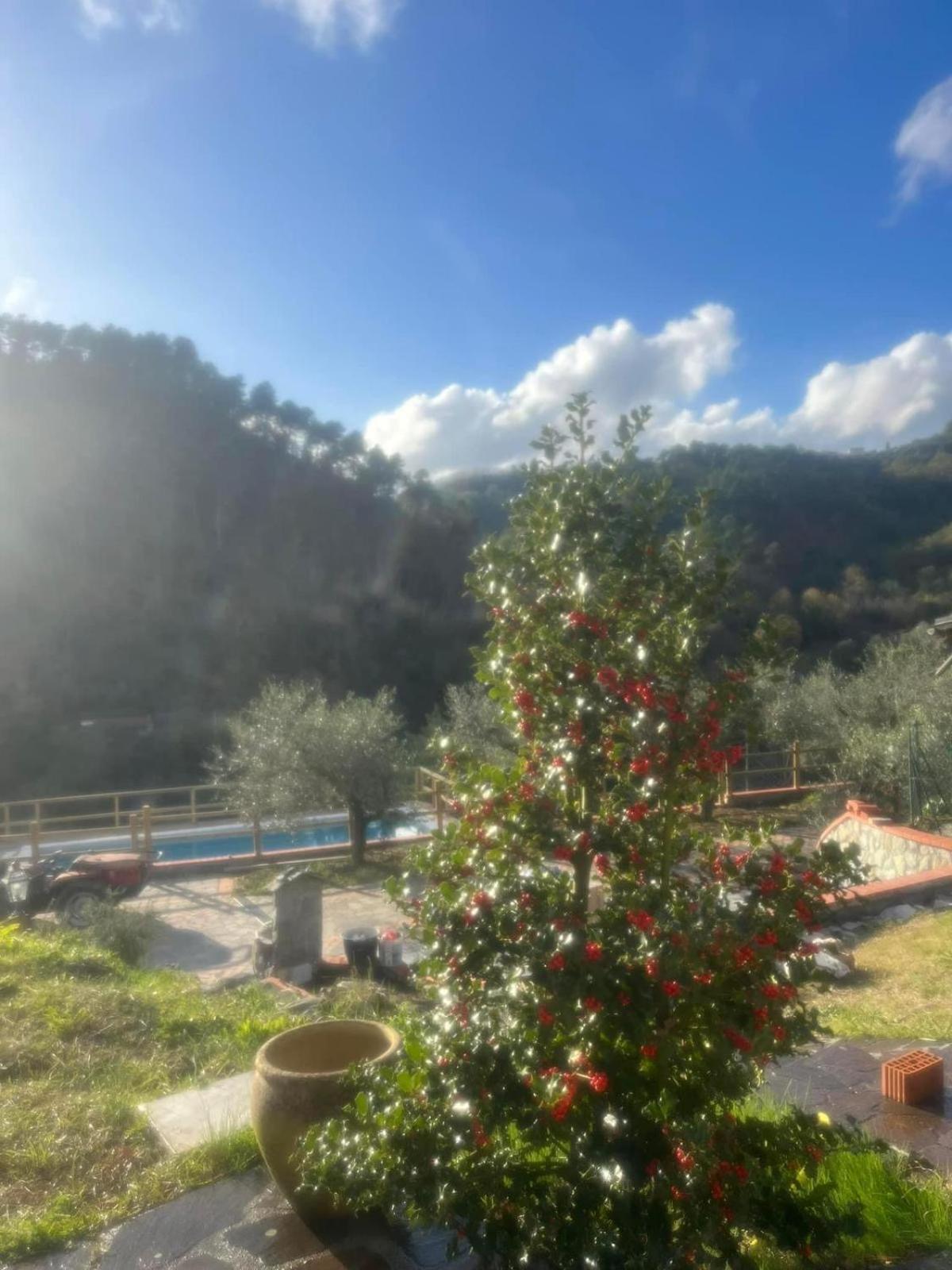 Podere Il Glicine Wellness Charme & Relax Fresonara  Eksteriør billede